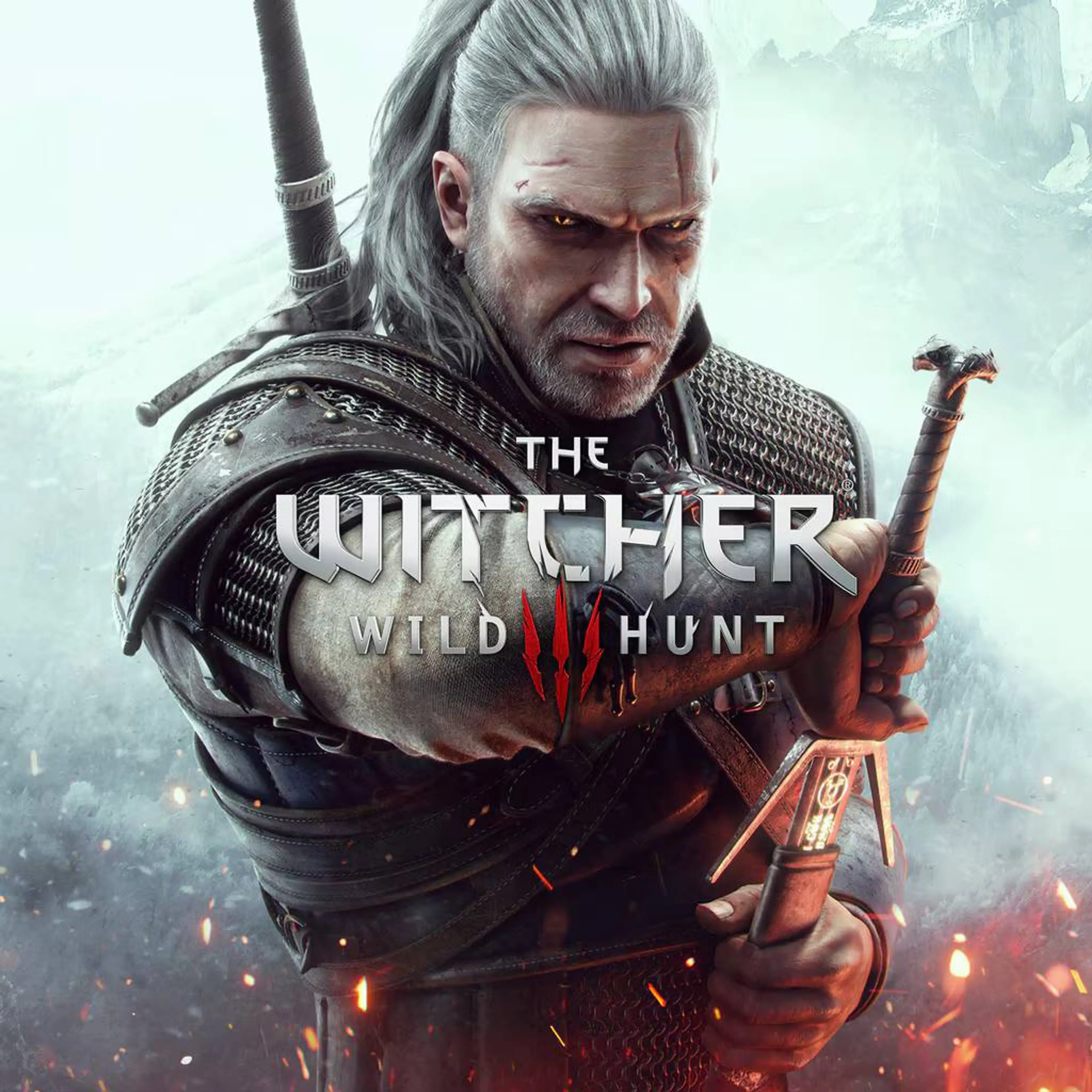 The Witcher 3